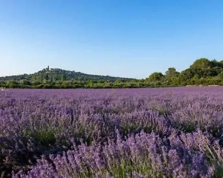 Il Gioiello Holiday home